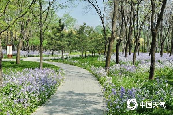 ���������������ߣ��������