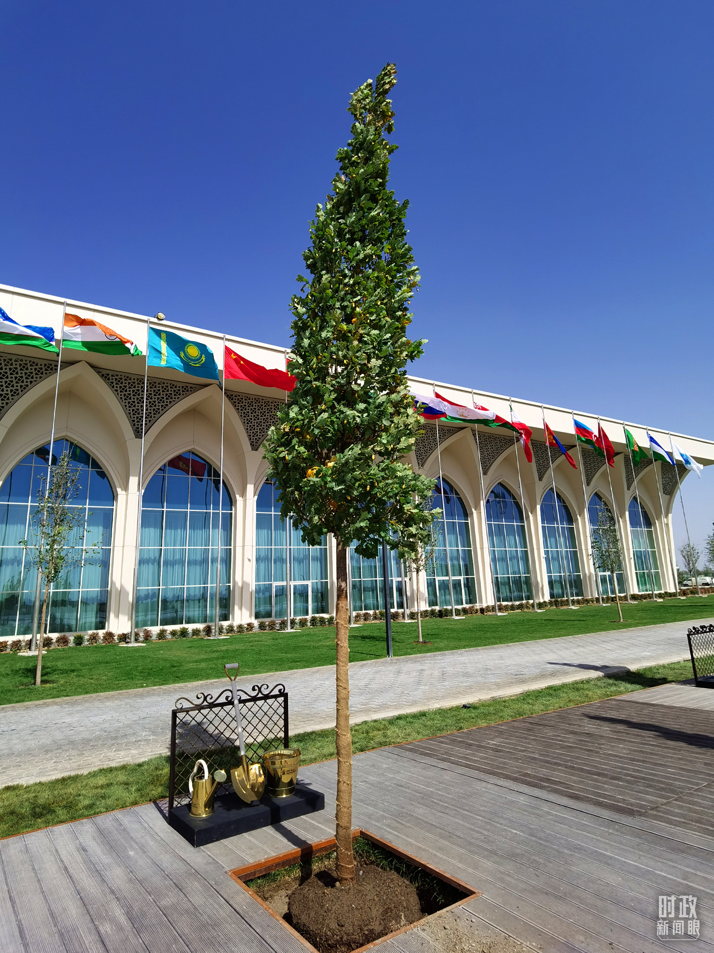 �����������ų�������������������������֦��Ҷï��������Ϣ������̨���Ӽ��߹������㣩