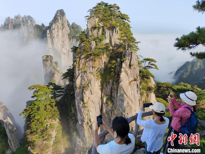 ��������ο������ɽ��� ������ ��