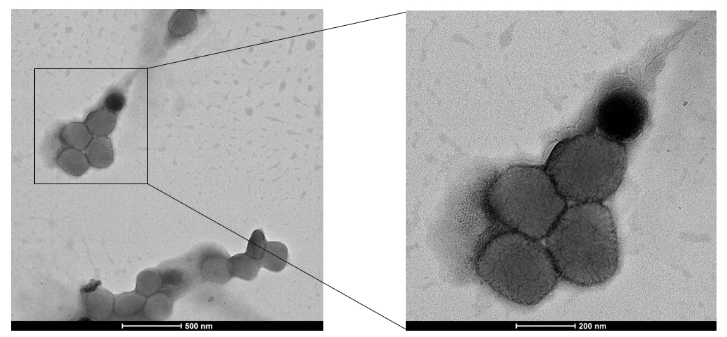 �ﶻ�����羵ͼ