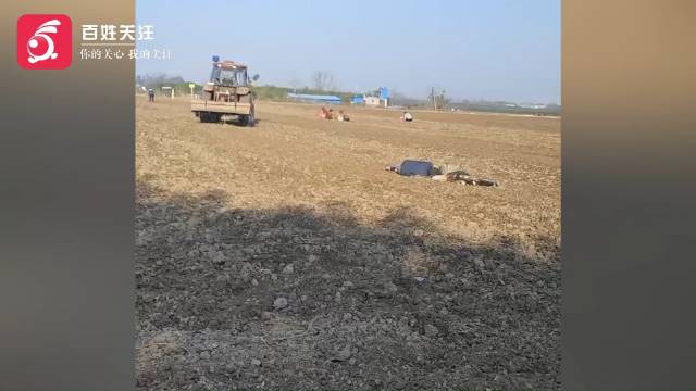 河南一老人捡花生被卷收割机身亡 老伴倒地痛哭