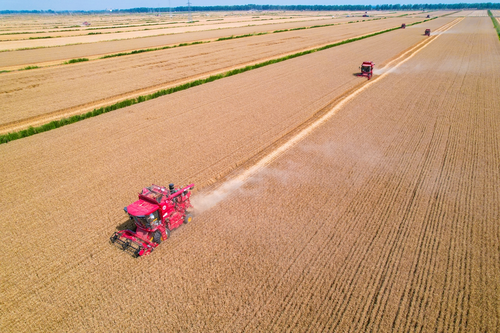 ���ݷ���ʱ�̡� �����Ӿ� ����� ��_����.jpg