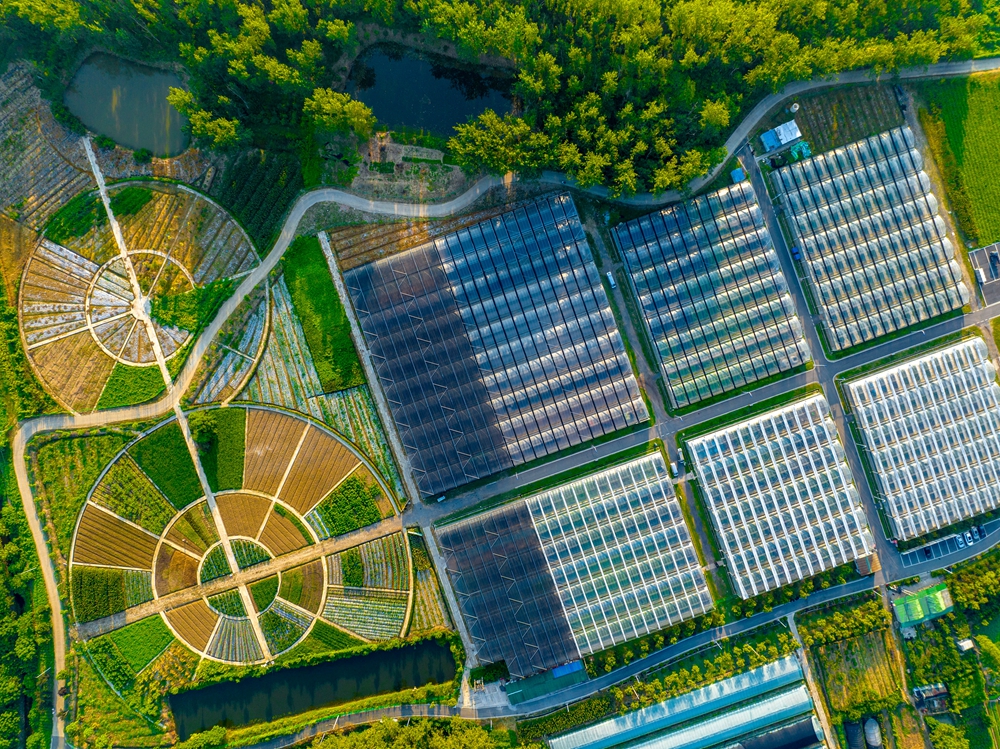 �ִ�ũҵ��ҵ԰���ء���ѩ�� ��_����.jpg