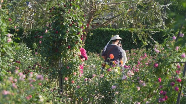 �޸ĳߴ� (25).jpeg