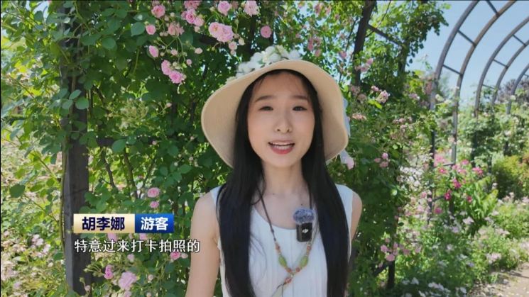 �޸ĳߴ� (26).jpeg