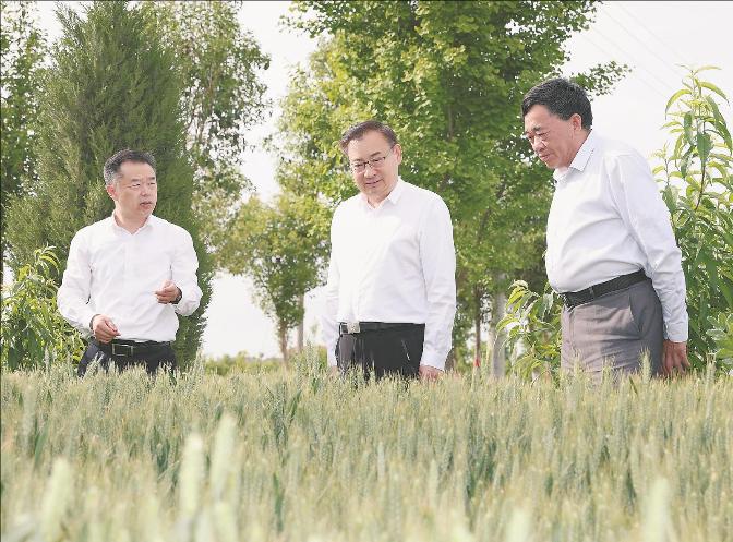 �޸ĳߴ� (24).jpeg